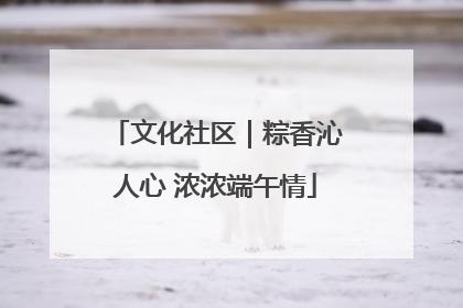 文化社区｜粽香沁人心 浓浓端午情