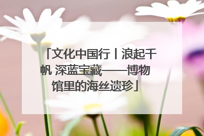 文化中国行丨浪起千帆 深蓝宝藏——博物馆里的海丝遗珍