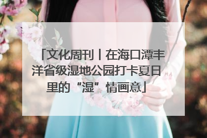 文化周刊丨在海口潭丰洋省级湿地公园打卡夏日里的“湿”情画意