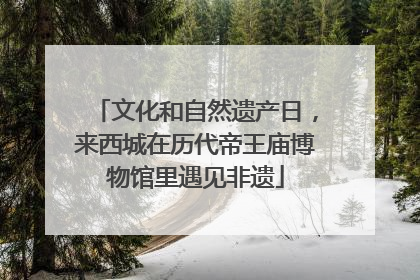 文化和自然遗产日，来西城在历代帝王庙博物馆里遇见非遗