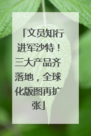 文员知行进军沙特！三大产品齐落地，全球化版图再扩张