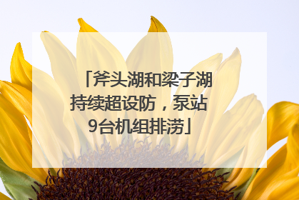 斧头湖和梁子湖持续超设防，泵站9台机组排涝