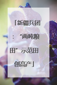 新疆兵团：“两吨粮田”示范田创高产