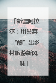 新疆阿拉尔：用桑葚“酿”出乡村旅游新风味