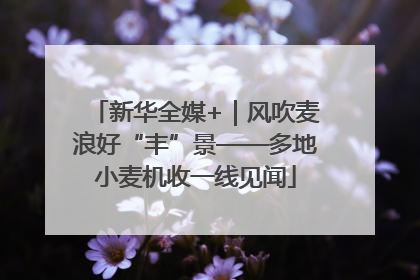 新华全媒+｜风吹麦浪好“丰”景——多地小麦机收一线见闻