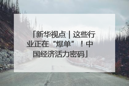 新华视点｜这些行业正在“爆单”！中国经济活力密码