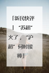 新民快评丨“苏超”火了，“沪超”何时接棒