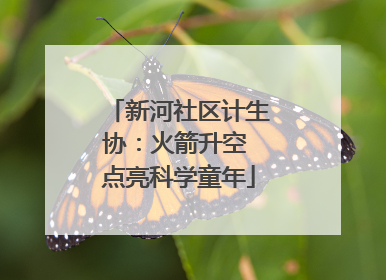 新河社区计生协：火箭升空 点亮科学童年