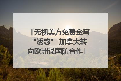 无视美方免费金穹“诱惑” 加拿大转向欧洲谋国防合作