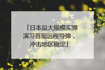 日本最大规模实弹演习首现远程导弹，冲击地区稳定