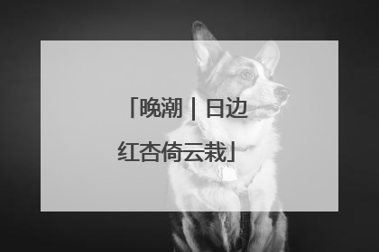 晚潮｜日边红杏倚云栽