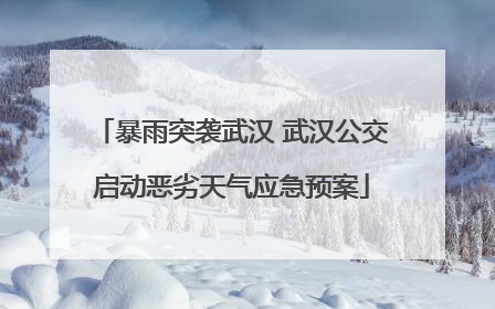 暴雨突袭武汉 武汉公交启动恶劣天气应急预案