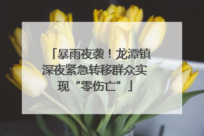 暴雨夜袭！龙潭镇深夜紧急转移群众实现“零伤亡”