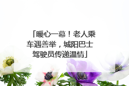 暖心一幕！老人乘车遇善举，城阳巴士驾驶员传递温情