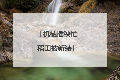机械插秧忙 稻田披新装