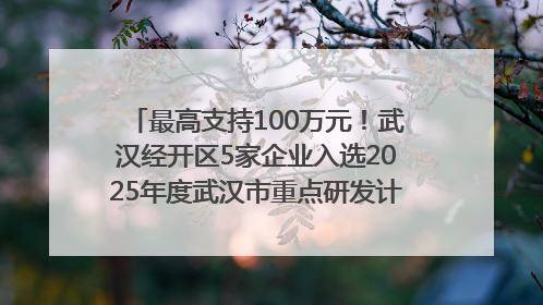 最高支持100万元！武汉经开区5家企业入选2025年度武汉市重点研发计划拟立项项目名单
