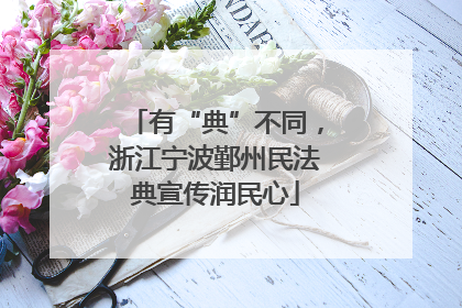 有“典”不同，浙江宁波鄞州民法典宣传润民心