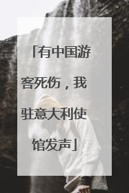 有中国游客死伤，我驻意大利使馆发声