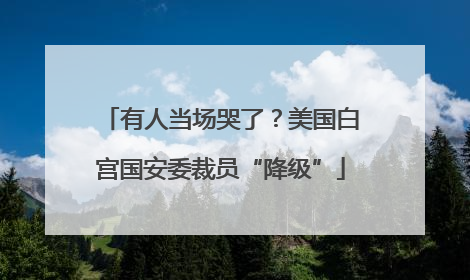 有人当场哭了？美国白宫国安委裁员“降级”