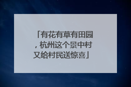 有花有草有田园，杭州这个景中村又给村民送惊喜