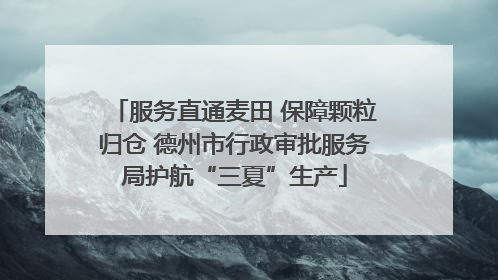 服务直通麦田 保障颗粒归仓 德州市行政审批服务局护航“三夏”生产