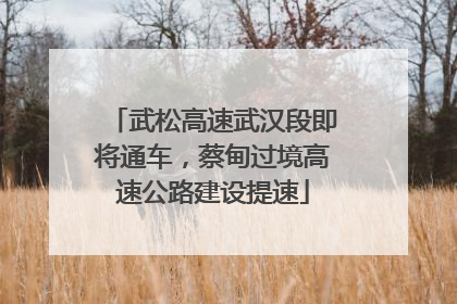 武松高速武汉段即将通车，蔡甸过境高速公路建设提速