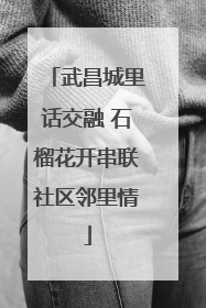 武昌城里话交融 石榴花开串联社区邻里情