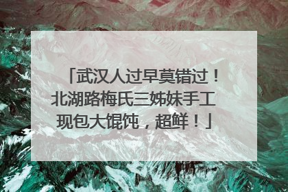武汉人过早莫错过！北湖路梅氏三姊妹手工现包大馄饨，超鲜！
