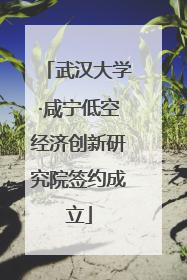 武汉大学·咸宁低空经济创新研究院签约成立
