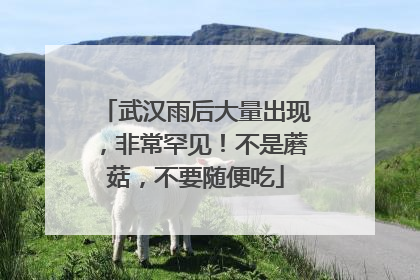 武汉雨后大量出现，非常罕见！不是蘑菇，不要随便吃