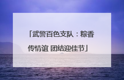 武警百色支队：粽香传情谊 团结迎佳节