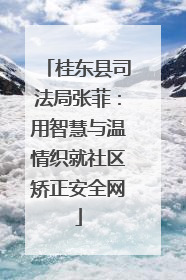 桂东县司法局张菲：用智慧与温情织就社区矫正安全网