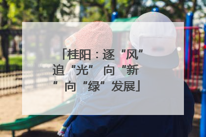 桂阳：逐“风”追“光” 向“新”向“绿”发展