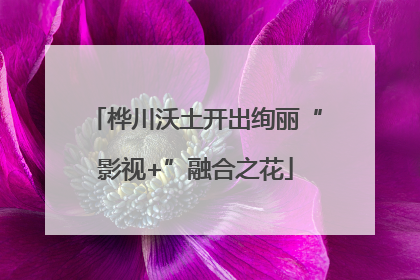 桦川沃土开出绚丽“影视+”融合之花