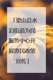 梁山县水泊街道为民服务中心开展惠民政策宣传