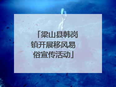 梁山县韩岗镇开展移风易俗宣传活动