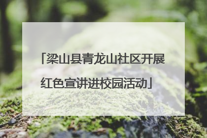 梁山县青龙山社区开展红色宣讲进校园活动