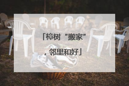 樟树“搬家”，邻里和好