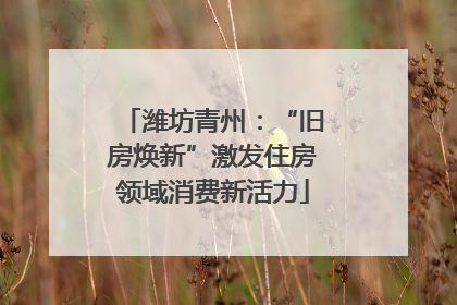 潍坊青州：“旧房焕新”激发住房领域消费新活力