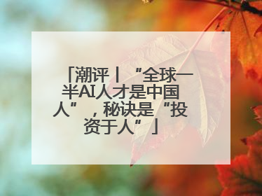 潮评丨“全球一半AI人才是中国人”，秘诀是“投资于人”