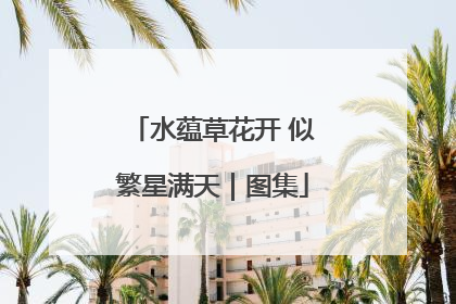 水蕴草花开 似繁星满天｜图集