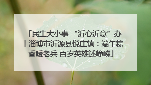 民生大小事 “沂心沂意”办丨淄博市沂源县悦庄镇：端午粽香暖老兵 百岁英雄述峥嵘