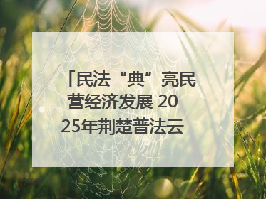 民法“典”亮民营经济发展 2025年荆楚普法云课堂第二期在武汉客厅开讲