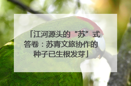 江河源头的“苏”式答卷：苏青文旅协作的种子已生根发芽