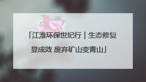 江淮环保世纪行｜生态修复显成效 废弃矿山变青山