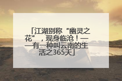 江湖别称“幽灵之花”，现身临沧！——有一种叫云南的生活之365天