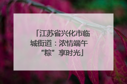 江苏省兴化市临城街道：浓情端午 “粽”享时光