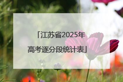 江苏省2025年高考逐分段统计表