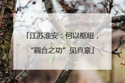 江苏淮安：何以枢纽，“耦合之功”见真章
