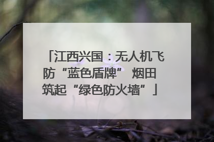 江西兴国：无人机飞防“蓝色盾牌” 烟田筑起“绿色防火墙”